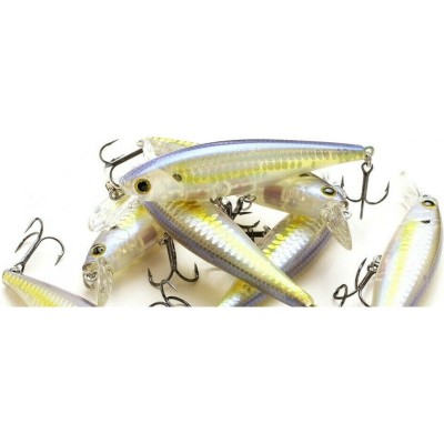 ZEBRA MS CHART SHAD